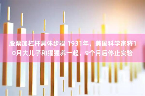 股票加杠杆具体步骤 1931年,美国科学家将10月大儿子和猩猩养一起,9个月后停止实验